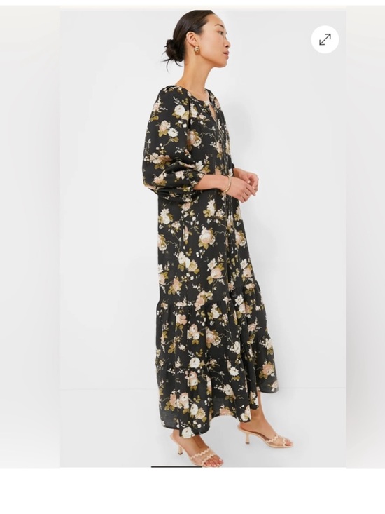Tuckernuck Dresses & Skirts - Tuckernuck Midnight Garden Lyles Tiered Dress Size Medium Puffy Sleeves